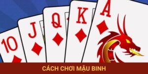 Cách Chơi Bài Mậu Binh Chi Tiết Nhất Dành Cho Hội Viên Mới