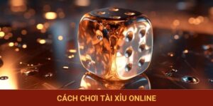 Cách Chơi Tài Xỉu Online - Từ A Đến Z Luật Chơi Cho Newbies