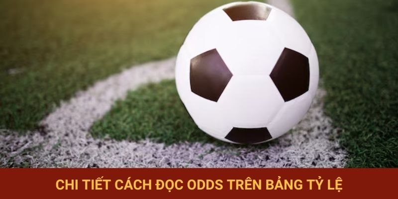 Chi tiết cách đọc odds trên bảng tỷ lệ