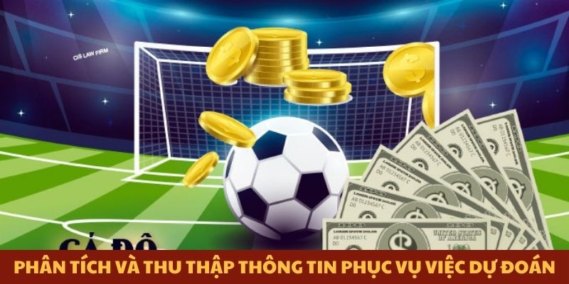 Phân tích và thu thập thông tin phục vụ việc dự đoán