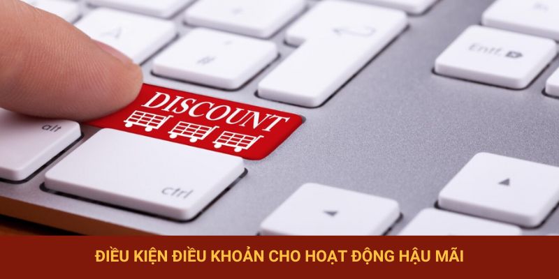 Điều kiện điều khoản cho hoạt động hậu mãi