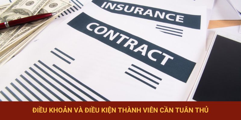 Điều khoản và điều kiện thành viên cần tuân thủ