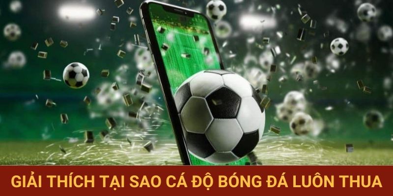 Giải thích tại sao cá độ bóng đá luôn thua