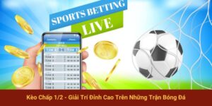 Kèo Chấp 1/2 - Giải Trí Đỉnh Cao Trên Những Trận Bóng Đá