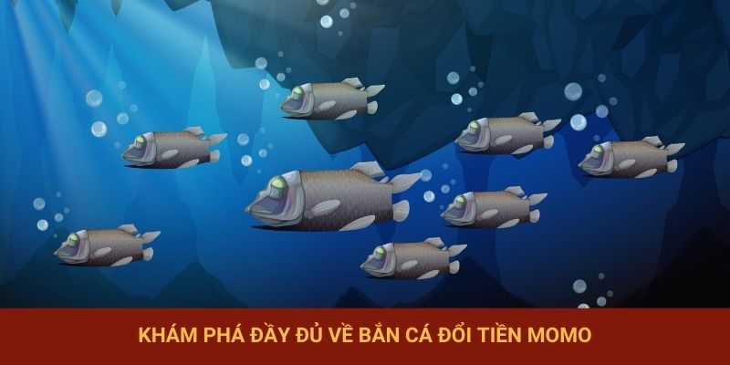 Khám phá đầy đủ về bắn cá đổi tiền Momo