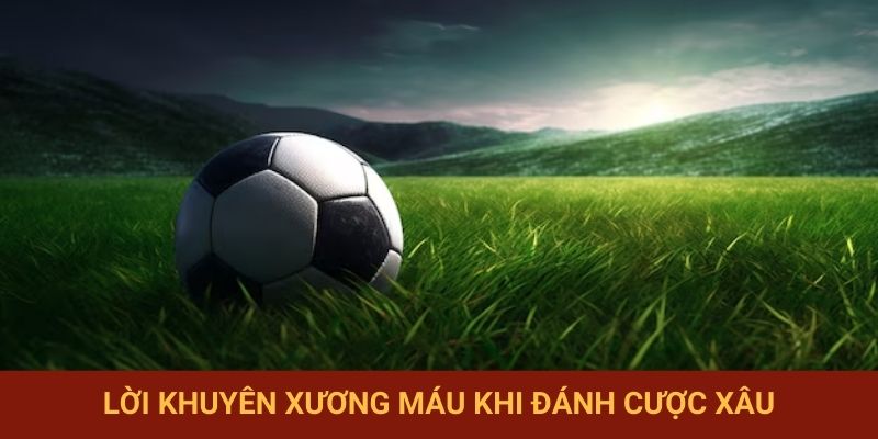 Lời khuyên xương máu khi đánh cược xâu