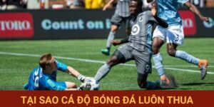 tại sao cá độ bóng đá luôn thua