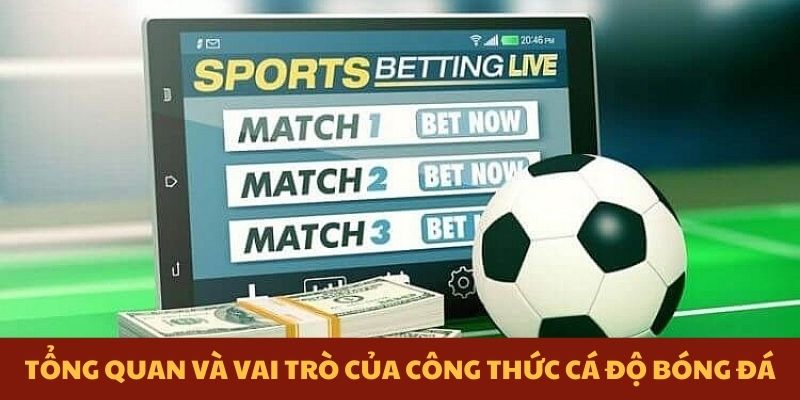 Tổng quan và vai trò của công thức cá độ bóng đá