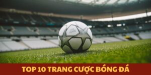 Top 10 Trang Cược Bóng Đá Hàng Đầu Tại Thị Trường Giải Trí
