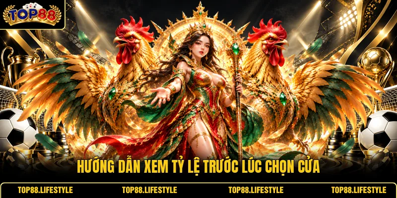 Hướng dẫn xem tỷ lệ trước lúc chọn cửa