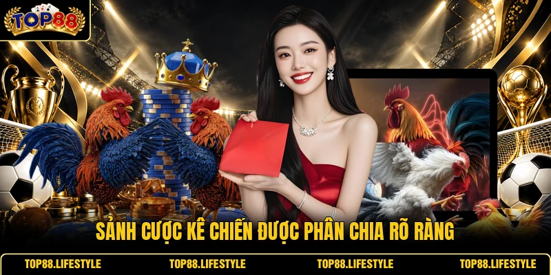 Sảnh cược kê chiến được phân chia rõ ràng